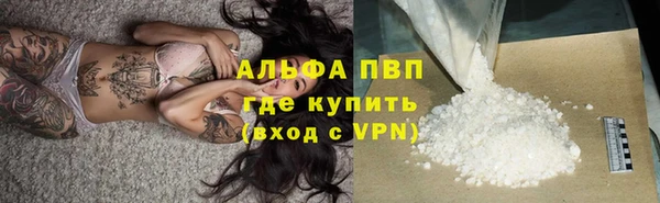гашик Алзамай